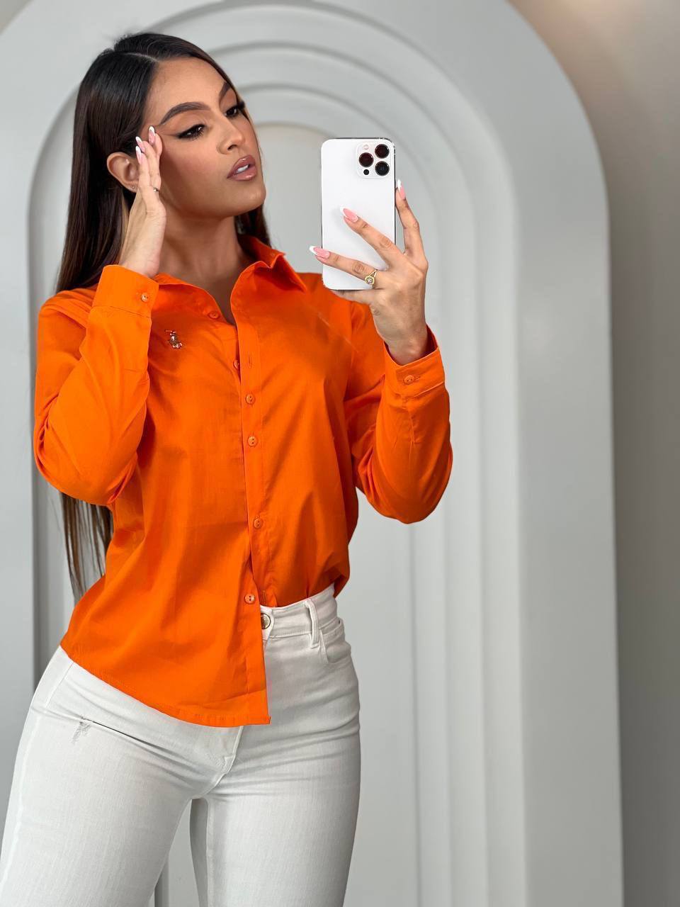 Camisa Elegante Mujer Manga Larga